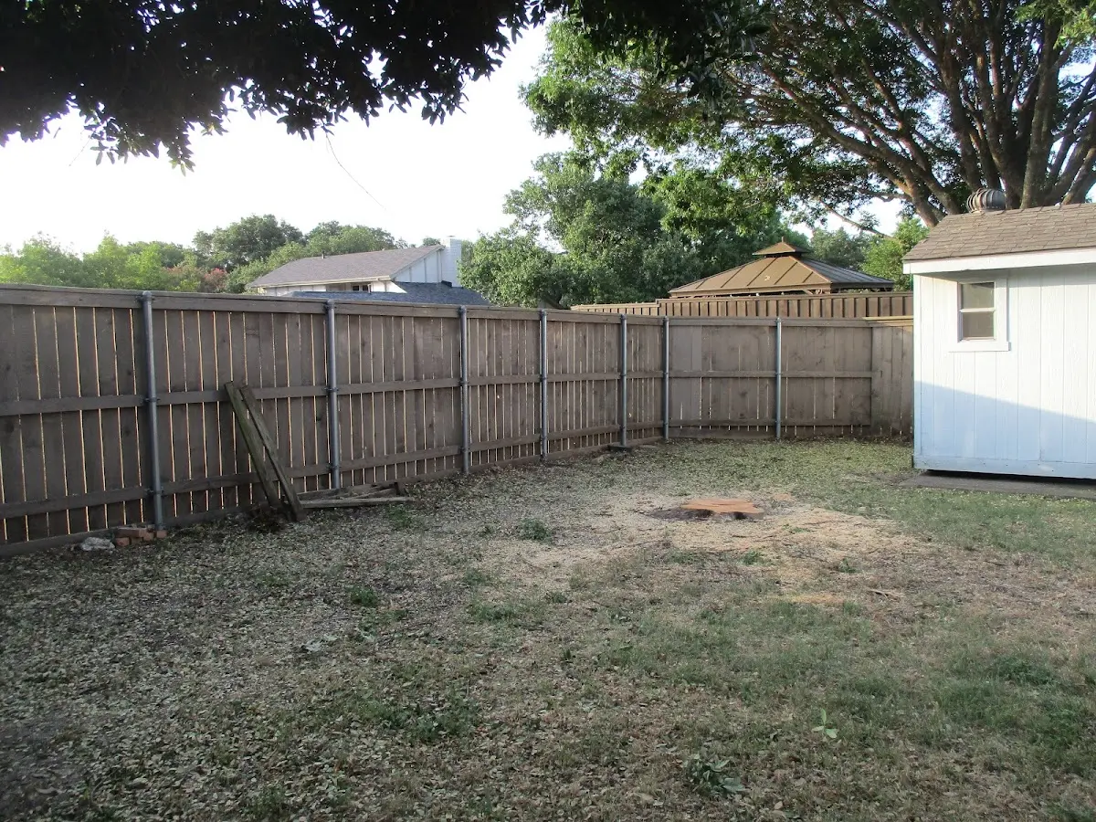 Cleared yard after professional tree removal in Watson